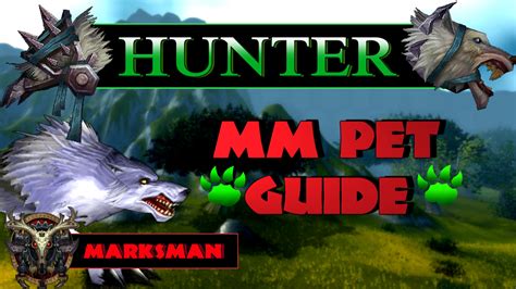 best pvp pet marksman hunter.